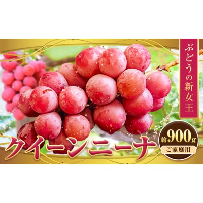 ぶどう【先行予約】クイーンニーナ 約900g 株式会社シグマサポート