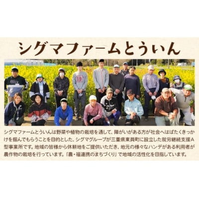 【予約】カップ入ぶどう シャインマスカット クイーンニーナ 約300g × 3カップ シグマサポート