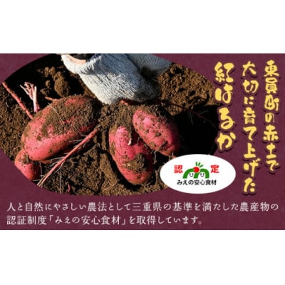 【2025年出荷】さつまいも 紅はるか 約5kg 株式会社シグマサポート