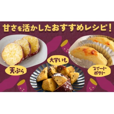 【2025年出荷】さつまいも 紅はるか 約5kg 株式会社シグマサポート