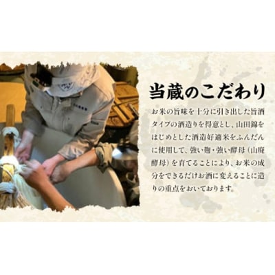 純米吟醸酒 天慶 神の穂 純米大吟醸 天慶 2本セット 各720ml×1 合資会社早川酒造部
