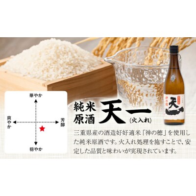 純米原酒 天一 (火入れ) 720ml 合資会社早川酒造部《30日以内に出荷予定(土日祝除く)》