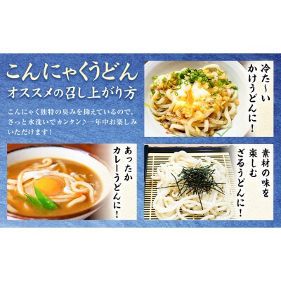 こんにゃくうどん 10袋 (1袋 150g) 水谷蒟蒻店《30日以内に出荷予定(土日祝除く)》