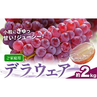 ご家庭用 デラウェア 約2kg 株式会社シグマサポート《8月上旬-8月下旬頃出荷》