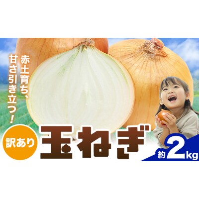 玉ねぎ 約2kg 株式会社シグマサポート《2026年4月下旬-6月上旬頃出荷》