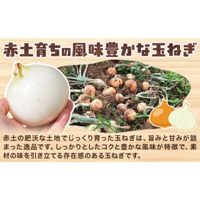玉ねぎ 約2kg 株式会社シグマサポート《2026年4月下旬-6月上旬頃出荷》