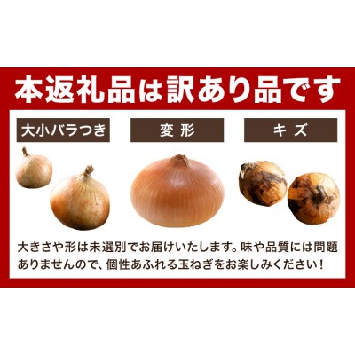 玉ねぎ 約2kg 株式会社シグマサポート《2026年4月下旬-6月上旬頃出荷》