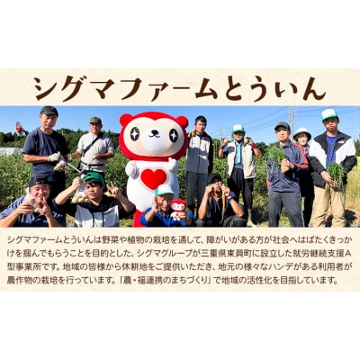 訳あり さつまいも 紅はるか 約2kg 株式会社シグマサポート《10月中旬-12月中旬頃出荷》