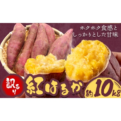 訳あり さつまいも 紅はるか 約10kg 株式会社シグマサポート《10月中旬-12月中旬頃出荷》