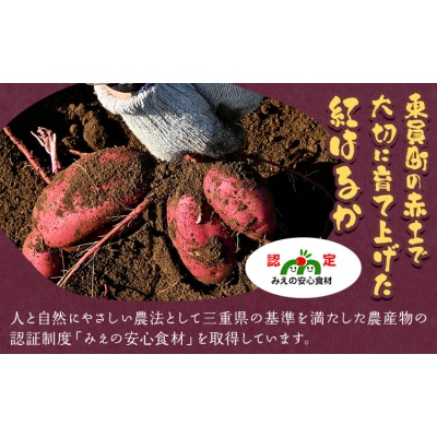 訳あり さつまいも 紅はるか 約10kg 株式会社シグマサポート《10月中旬-12月中旬頃出荷》