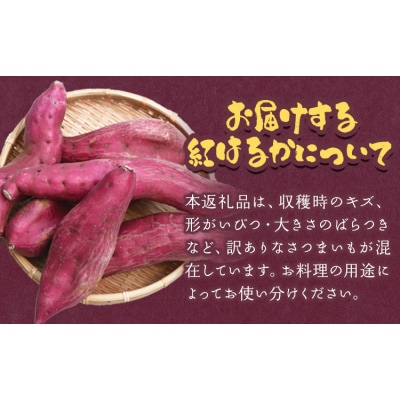 訳あり さつまいも 紅はるか 約10kg 株式会社シグマサポート《10月中旬-12月中旬頃出荷》
