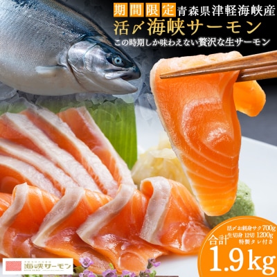 【期間限定発送】活〆海峡サーモン　お刺身さくと生切身A(冷蔵)　特製漬タレ付