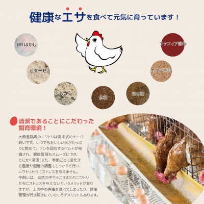 大熊養鶏場　かっぱの健卵　15個入り