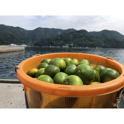 安樹屋　愛媛県明浜産　極早生みかん　5kg(家庭用)