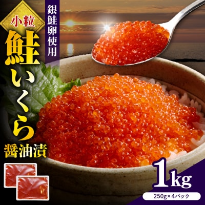 えりも【マルデン特製】鮭いくら醤油漬け250g×4箱【er002-099-s】