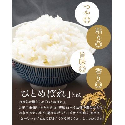 五ツ星お米マイスター厳選!令和7年産 平泉町産ひとめぼれ 玄米10kg(5kg×2)【mtk706】