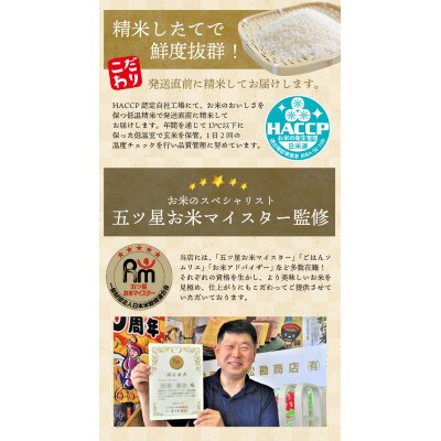 五ツ星お米マイスター厳選!令和7年産 平泉町産ひとめぼれ 玄米10kg(5kg×2)【mtk706】