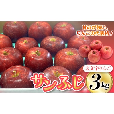 大文字りんご園 サンふじ 約3kg (中玉7～10玉)【dma513-sf-3C】