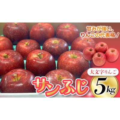 大文字りんご園 サンふじ 小玉サイズ 約5kg (約18～20玉)【dma513-sf-5D】