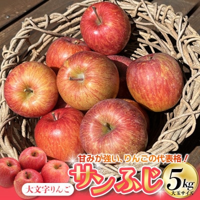大文字りんご サンふじ 大玉サイズ 約5kg (約10～12玉)【dma513-sf-5D-big】