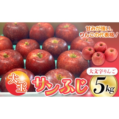 大文字りんご サンふじ 大玉サイズ 約5kg (約10～12玉)【dma513-sf-5D-big】