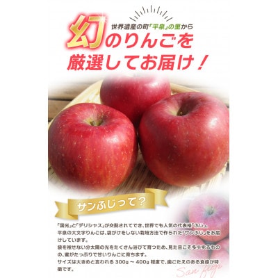 大文字りんご サンふじ 大玉サイズ 約5kg (約10～12玉)【dma513-sf-5D-big】