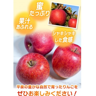 大文字りんご サンふじ 大玉サイズ 約5kg (約10～12玉)【dma513-sf-5D-big】