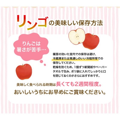 大文字りんご サンふじ 大玉サイズ 約5kg (約10～12玉)【dma513-sf-5D-big】