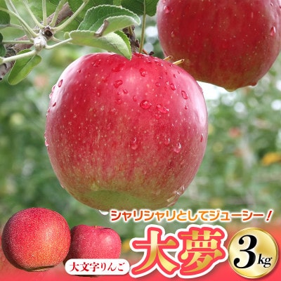 大文字りんご園 大夢(おおゆめ) 約3kg (7～10玉)【dma513-l-oy-3C】