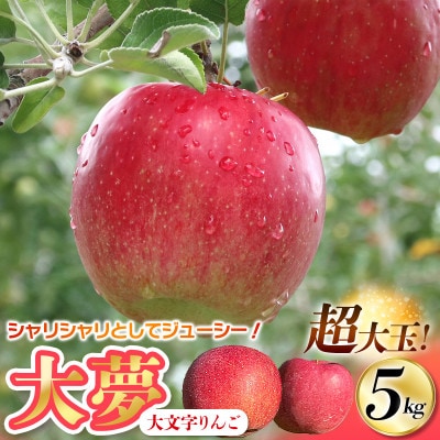 【超大玉!】大文字りんご大夢(おおゆめ)約5kg (10～12玉)【dma513-l-oy-big】