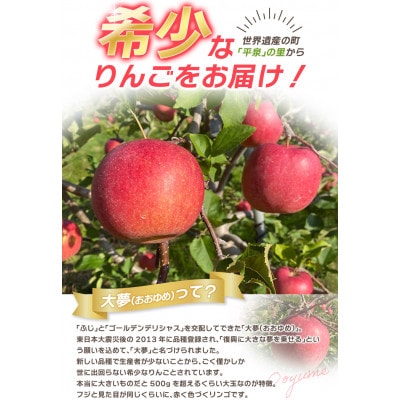 【超大玉!】大文字りんご大夢(おおゆめ)約5kg (10～12玉)【dma513-l-oy-big】