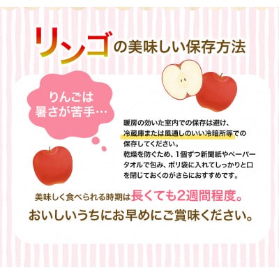 【超大玉!】大文字りんご大夢(おおゆめ)約5kg (10～12玉)【dma513-l-oy-big】