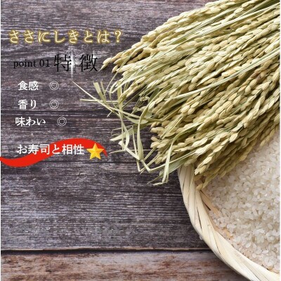 【令和8年産予約】平泉町産ササニシキ(精米) 2kg 令和8年10月初旬より順次発送【mih007】
