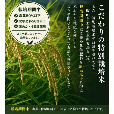 【令和8年産予約】平泉町産ササニシキ(精米) 2kg 令和8年10月初旬より順次発送【mih007】
