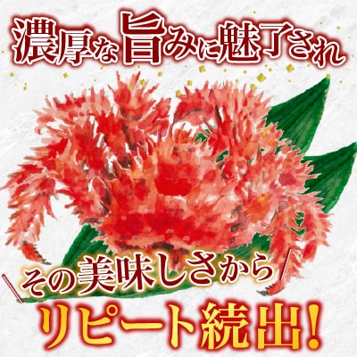 【北海道根室産】花咲がに600g前後×2尾 B-20001