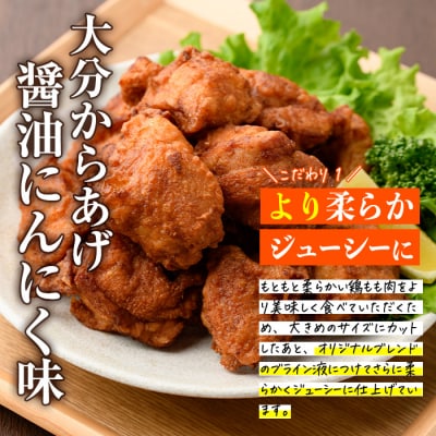 時短おかず 揚げるだけ 大分からあげ 醤油にんにく味 (計1kg・500g×2パック) 
