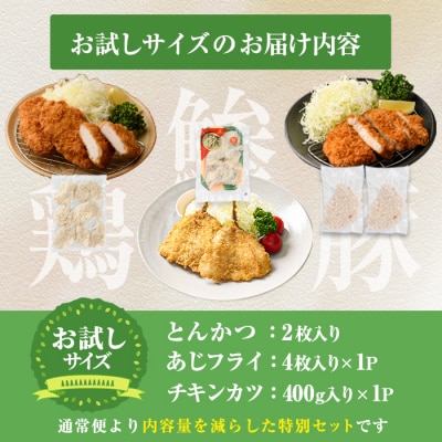 時短おかず・大人気フライ3種セット (お試しサイズ)