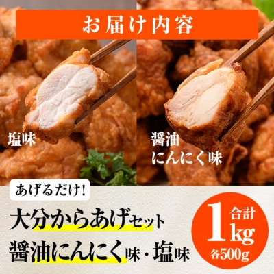 時短おかず 揚げるだけ 大分 からあげ 醤油にんにく味・塩からあげ セット (合計1kg・各500g