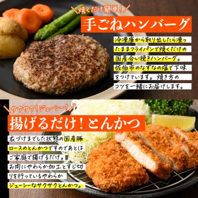 <定期便・全4回(3か月毎)>下ごしらえ済み おかず5種セット (5種・合計2.3kg×4回)