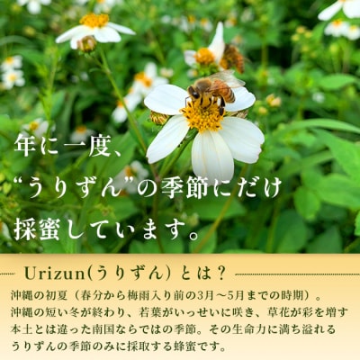 石垣島百花　はちみつ　～Urizun～　130g×2瓶