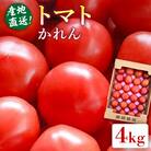 【先行受付】糸島産トマト かれん ( 4kg 28玉 前後 ) 糸島市 / シーブ [AHC019]
