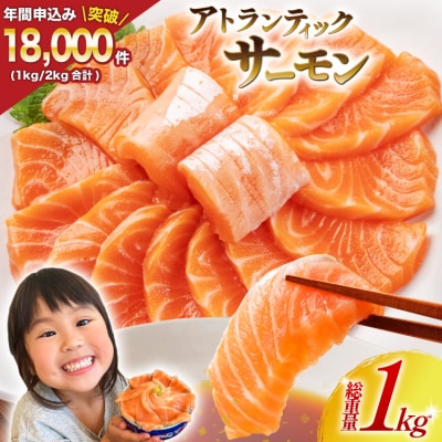 ノルウェー産 アトランティックサーモン 総重量 1kg (正味重量850g) 20565509