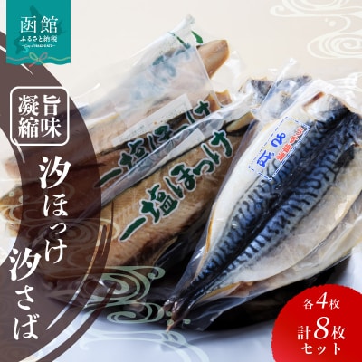 イチヨ水産　汐ホッケ・汐サバセット_HD010-009
