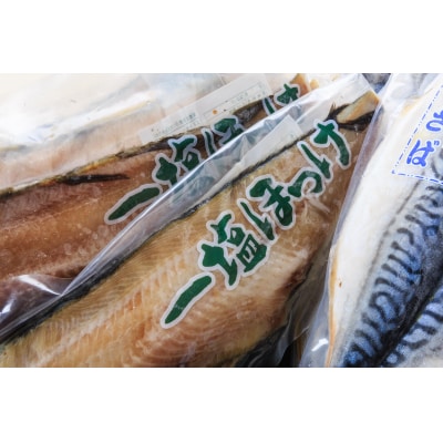イチヨ水産　汐ホッケ・汐サバセット_HD010-009
