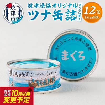 焼津漁協オリジナルツナ缶詰(まぐろ油漬け)12缶入(a12-163)