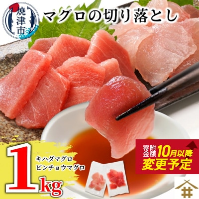天然鮪 焼津 キハダマグロ ビンチョウマグロ 計1kg(a10-924)