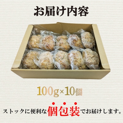 黒毛和牛入 ハンバーグ 10個 冷凍 MB003