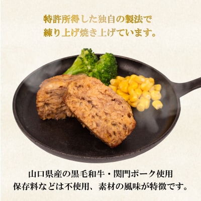 黒毛和牛入 ハンバーグ 15個 冷凍 MB004