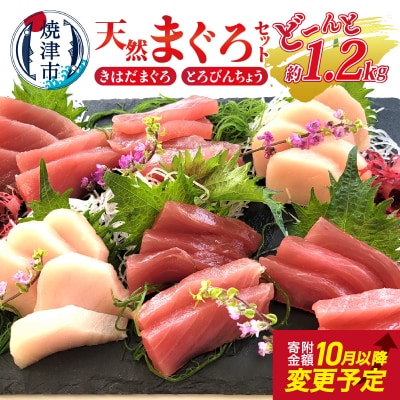 天然 まぐろ セット(とろびんちょう・きはだまぐろ) 約1.2kg(a10-908)