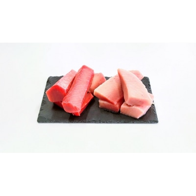 天然 まぐろ セット(とろびんちょう・きはだまぐろ) 約1.2kg(a10-908)